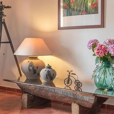 Es Vinyo Villa